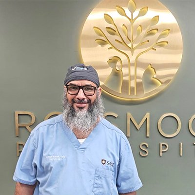 Dr. Hani Korani, BVSc, DACVS (SA)